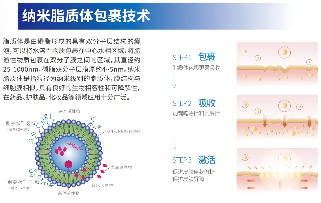 技术优势1.png