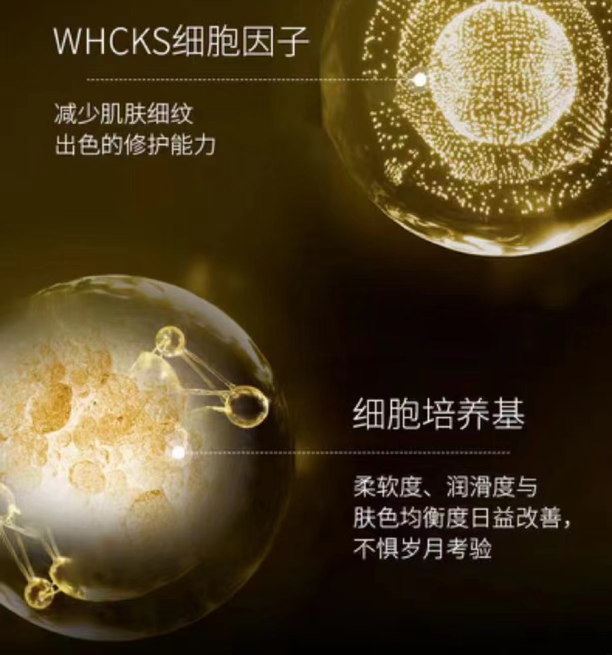 次抛3.jpg
